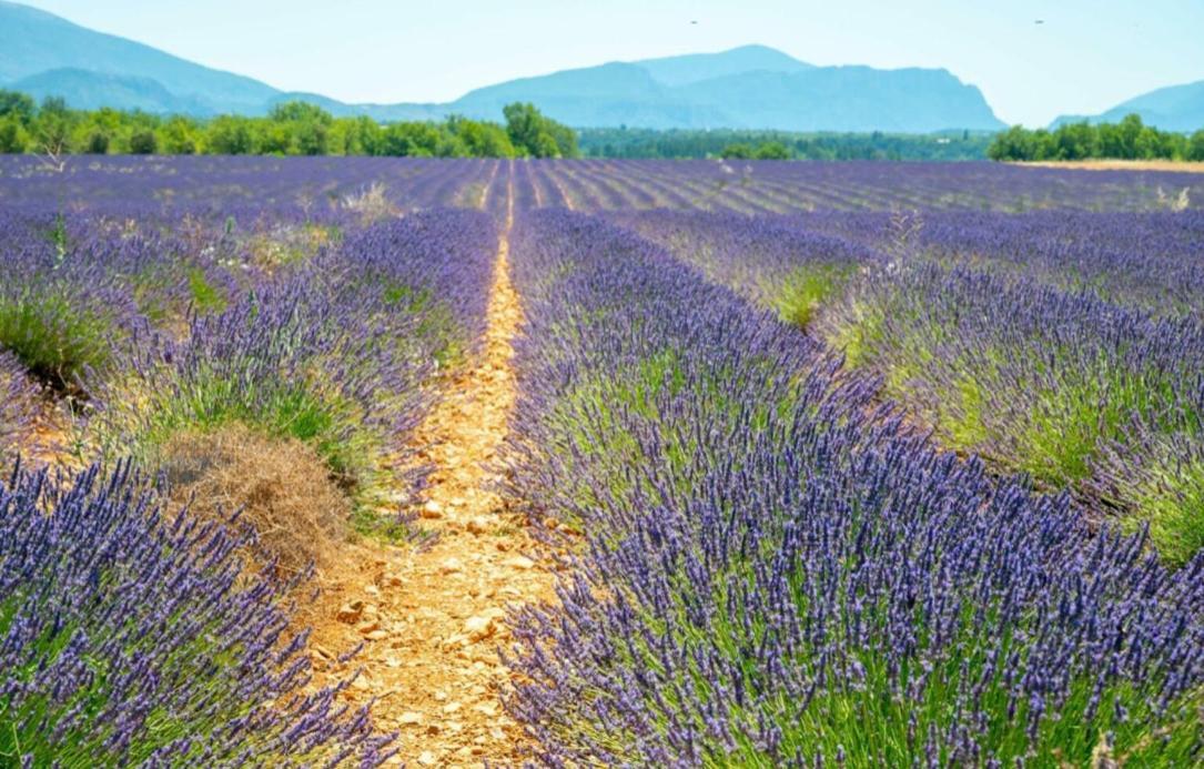 Fuvolea, Maison De Vacances A 15 Min Du Centre D'Aix-En-Provence, Piscine Chauffee En Saison - Jardin - Parking Prive Gratuit Fuveau Eksteriør billede