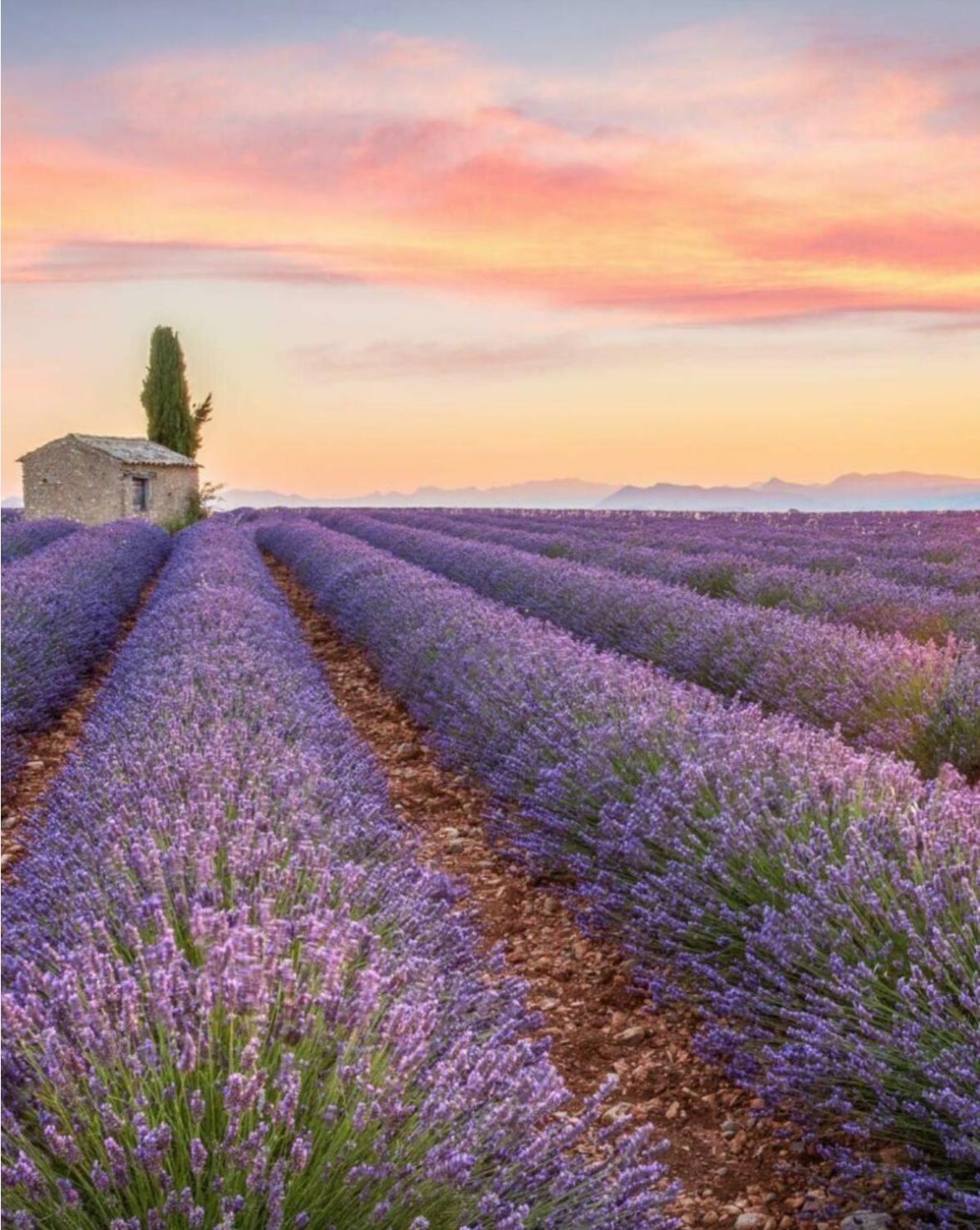 Fuvolea, Maison De Vacances A 15 Min Du Centre D'Aix-En-Provence, Piscine Chauffee En Saison - Jardin - Parking Prive Gratuit Fuveau Eksteriør billede